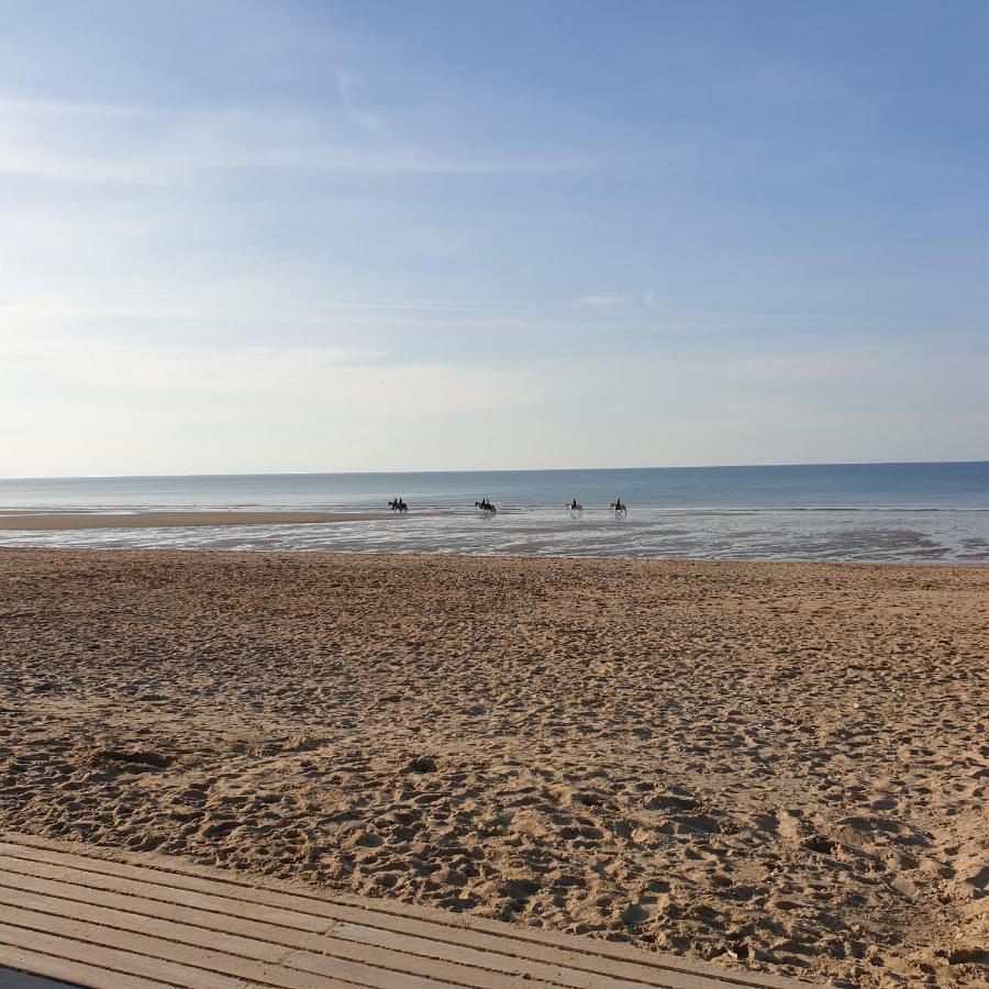 Appartement Studio Proche Mer 4 Pers Residence Calme Avec Parc Blonville-sur-Mer Eksteriør billede